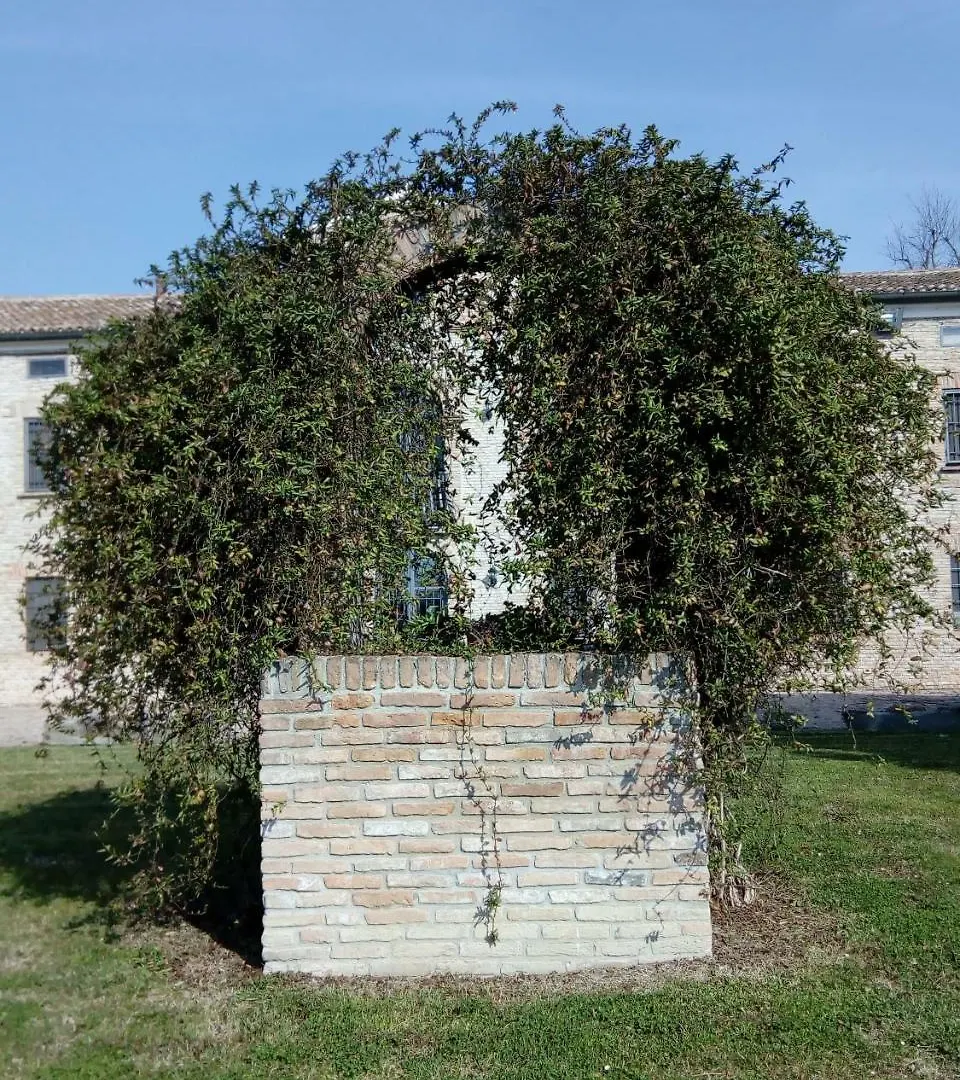 Hotel Locanda Corte Arcangeli Ferrara